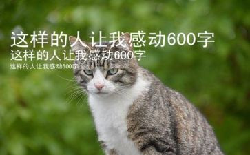 这样的人让我500作文优质7篇