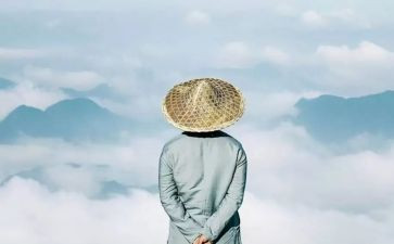 智慧的爱读后感8篇