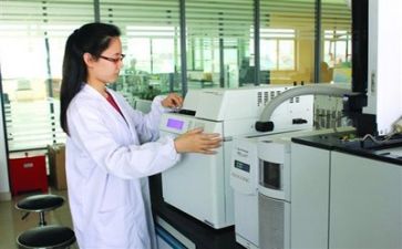 质量年终工作总结个人总结最新7篇