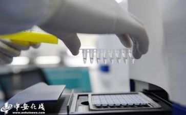 安全与质量的演讲稿7篇