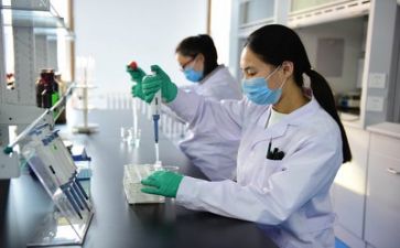 质量工作述职报告5篇