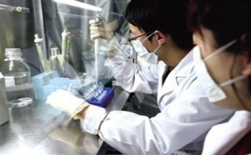 质量官工作计划推荐7篇