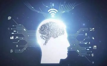 长知识了作文800字7篇