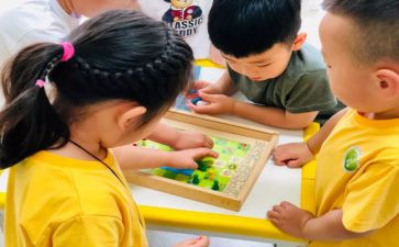 幼儿园中班教师个人总结参考5篇