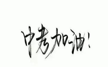 演讲稿中考范文优秀5篇