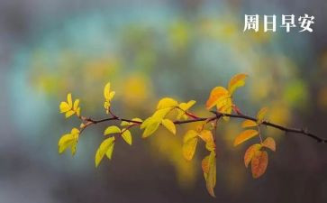 那一个周末作文5篇