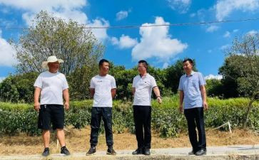 2023年驻村工作年度总结模板6篇