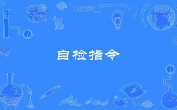 自检自查报告模板8篇