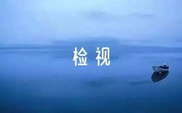 个人自检自查报告参考8篇