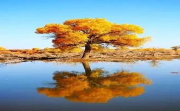 大自然的歌作文5篇