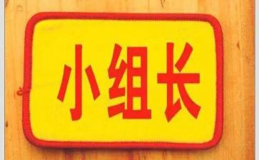 小学体育组长工作总结6篇