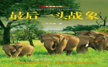 最后一头战象读后感作文7篇