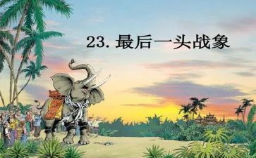 最后一头战象读后感300字8篇