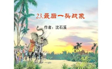 最后一头战象读后感精选5篇