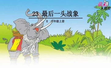 最后一头战象读后感600字6篇