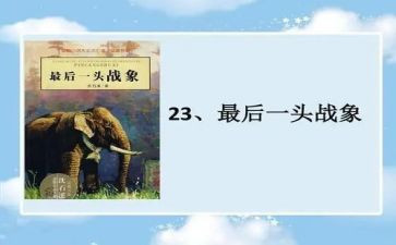 《最后一头战象》读后感300字5篇
