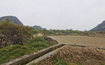 办公租赁房屋合同模板5篇