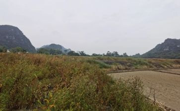 房屋租赁房屋合同6篇